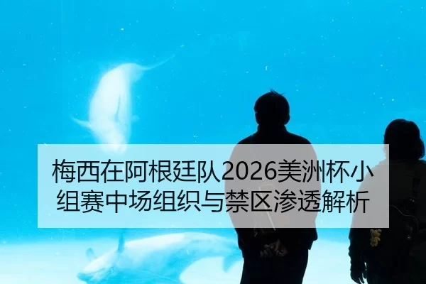 梅西在阿根廷队2026美洲杯小组赛中场组织与禁区渗透解析