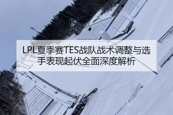 LPL夏季赛TES战队战术调整与选手表现起伏全面深度解析