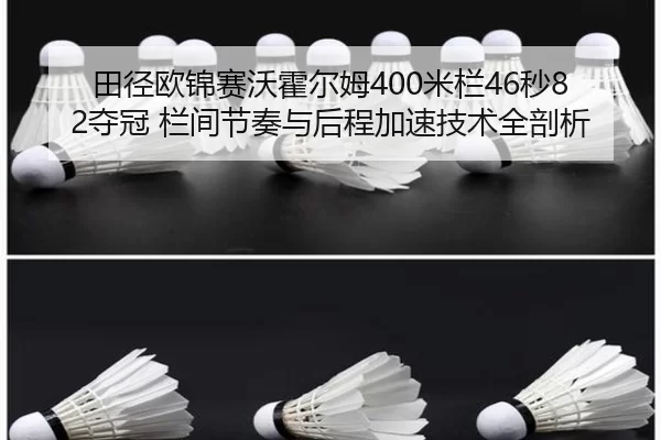 tian-jing-ou-jin-sai-wo-huo-er-mu-mi-lan-miao-duo-guan-lan-jian-jie-zou-yu-hou-cheng-jia-su-ji-shu-quan-pou-xi-2-502.jpg